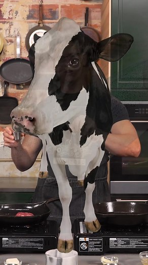 WE’RE GIVING YOU ALL THE ANSWERS HERE 🤷‍♂️ #Mythical #funny #cookingtiktok