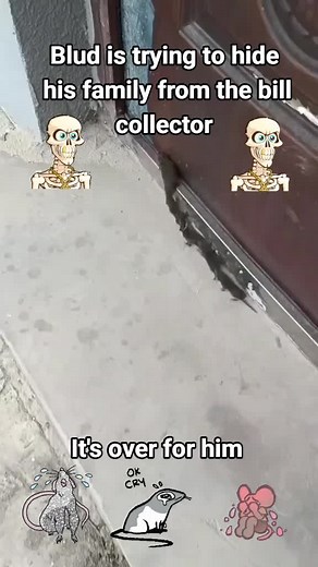 #donpollo #donpollo2982 #meme #fyp #trend #foryou #joke #