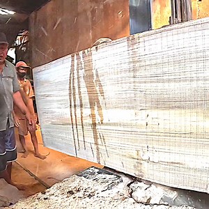 Here is extreme sawmill giant wood | Sawmill & Woodworking