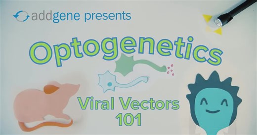 Optogenetics - Viral Vectors 101 (2020)