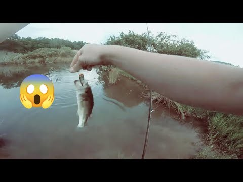 Double Hook Pro Technique 🎣 | Unstoppable Monster Fish Catch 🐟🔥
