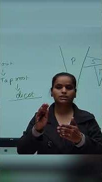 Tap Root vs Fibrous Root | Difference | Class 11 Biology | By Komal Mam