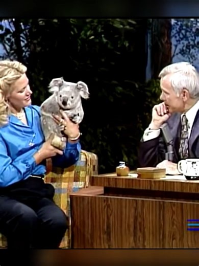 Cute Koala Climbs a Tree on Johnny Carson's Tonight Show with Joan Embery 😂😂#johnnycarson #thetonightshow | Johnny Carson Funny Clips
