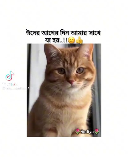 ispa (@ispa_10)’s videos with original sound - ispa