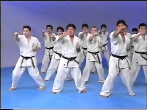 Kyokushin karate encyclopedia 1.