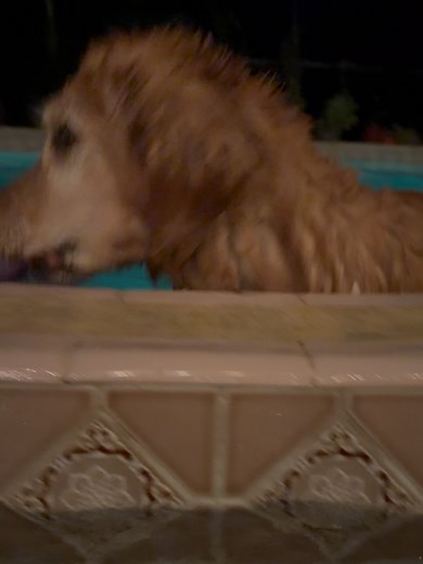 Chasing Jonah on Reels