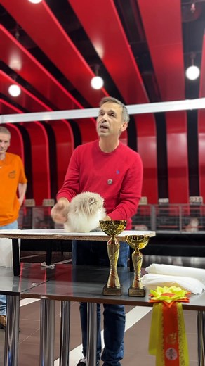 ❤️ 3rd place is the new 1st, every step forward is a victory 🏆 THE LEAF YIN-YANG 🏆 | Ruxandra Splendors