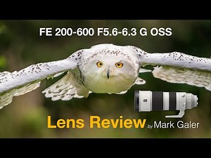 A Review of the New Sony FE 200-600mm f/5.6-6.3 G OSS Lens