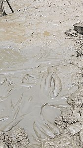 6.7K views · 72 reactions | Muddy Fishing | Fishing Today | Facebook