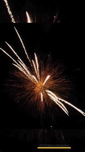 Firework Shot That Left Everyone Quiet 😶💣