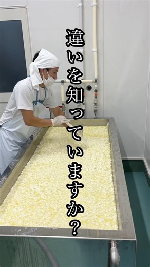 [Trivia] The difference between natural cheese and processed cheese