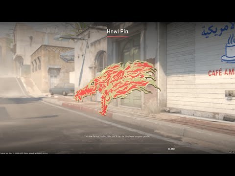 CS2 Pin Showcase: A Close-Up Look at Every Pin