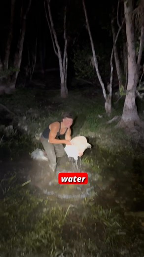 Fast like a jet.... | Aiden Adams