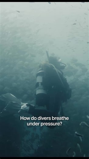 Breathing underwater isn’t as simple as taking a tank of air with you. At depth, pressure changes how gases behave inside the body. Nitrogen can make you disoriented. Oxygen can become toxic. And surfacing too fast risks decompression sickness. That’s why divers carefully plan their dives and sometimes use gas mixes beyond simple compressed air. #DEEP #OceanExploration #Breathe