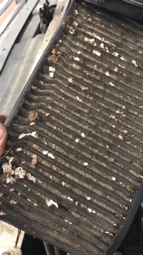 #mechanic #mechaniclife #mechanicproblems #fyp #diesel #dieseltrucks #powerstroke