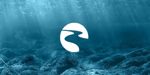 Webcams | National Mississippi River Museum & Aquarium