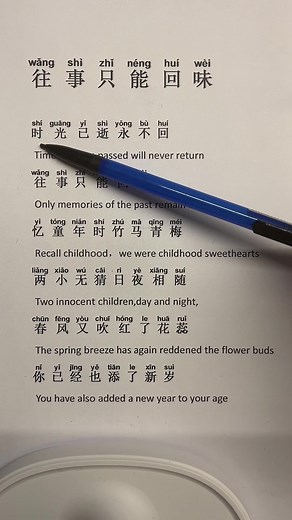 I Learn song : wang shi zhi neng hui Wei#mandarin #languagelearning #music #fyp #viral