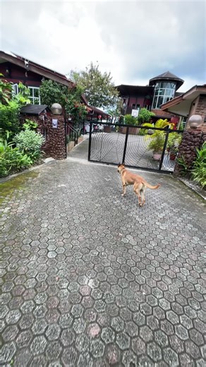 Discover the Incredible Views of Sinarumbie in KK