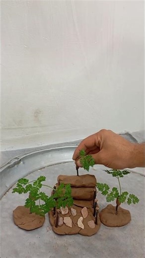 A canopy made of stone, straw, clay, and wood has been built, and the result is amazing. #clay