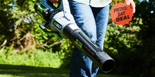 Prime Day Tool Deals 2025: Save More Than 50% on Essentials From DeWalt, Milwaukee, and More