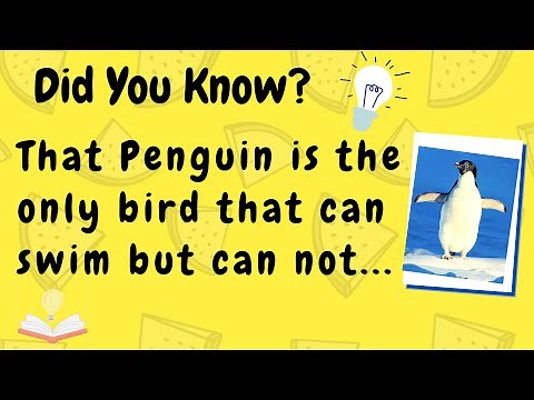 DID YOU KNOW FACTS | Interesting Trivia You May Not Know | Trivia Games | Direct Trivia
