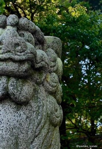顯國神社（和歌山・湯浅町）｜文化財と御朱印ガイド