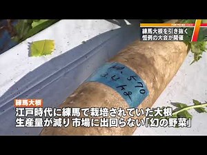 「練馬大根」を引き抜こう！ 練馬区でイベント
