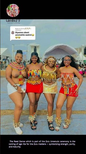 Zulu girls Performing The Africa Zulu Dance 19 #zulumaidens #traditionaldance #reeddance #culture