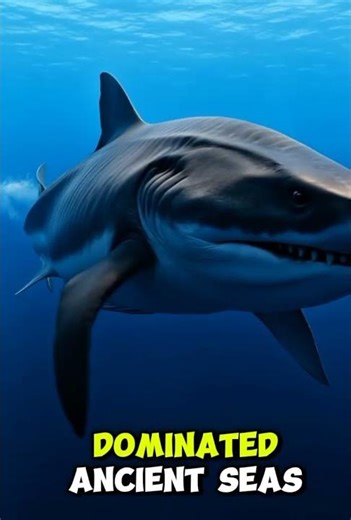 Megalodon Size Comparison 🤯