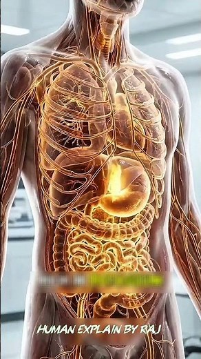 What Really Happens Inside Your Body When You Eat Dates? 😳