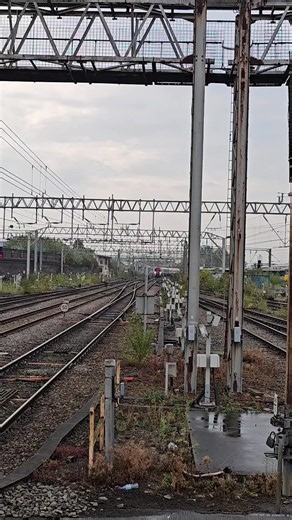 Transport for Wales Class 197036/007 Arriving! 🚆💨 #trainspotting #train #railway #crewe #colasrail 🚂