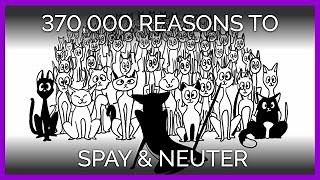 Spay & Neuter | SNIP Society