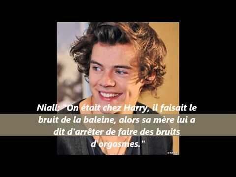 One Direction - French Facts //2013//