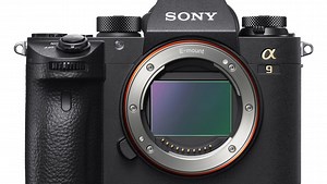 Sony a9 Dynamic Range Tested, Compared to Canon 1D X Mark II and Nikon D5
