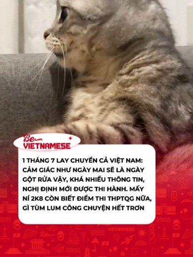 Quá nhiều điều mới trong ngày 1 tháng 7 năm 2026 ^^ #vietnam #bevietnamese #viral #thptqg #game #tintuc