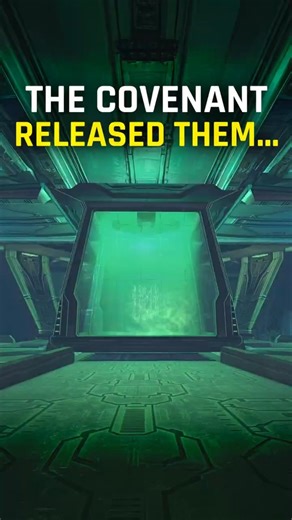 Flood Break Containment on Alpha Halo - Flood History (Part 17) #halo #halolore #lorewithwes #fyp