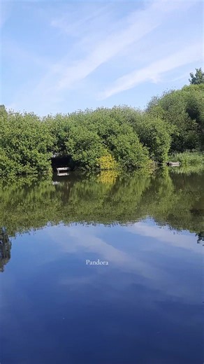 Pandora_11 on TikTok