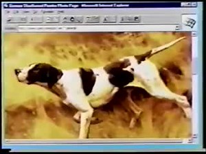 Internet Explorer 1.0: la primera versión del navegador