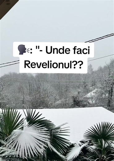 ☃️❄️🥺🤷‍♀️ #fyyyyyyyyyyyyyyyy #newyear2026 #foryoupage #viral | reveillon