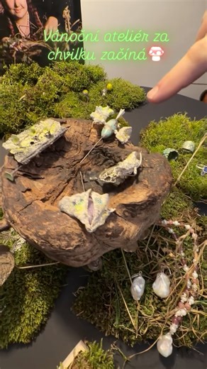 Hanuš Lamr on Instagram: "Dnes od tří ve Valdštejnské 4, zvoňte na domovní zvonek. Těšíme se na vás s novými šperky z mechu a kapradí 🍄 #mistratovarys"