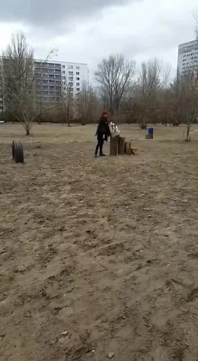 Agility Training with a Small Dog in an Open Area