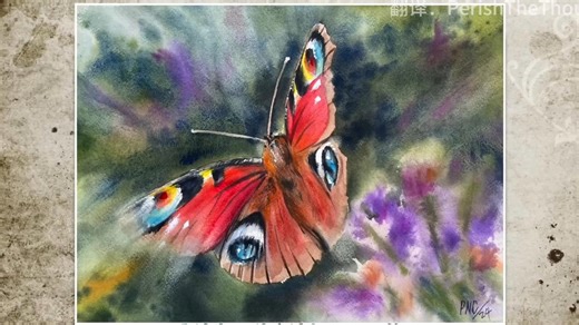 【英语中字】【Paul Clark】【水彩蝴蝶】浅色，还是深色背景？