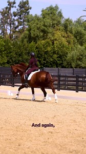 72K views · 2K reactions | One of the most common struggles I’ve seen in clinics? Getting the horse to move forward, especially in your transitions! It’s crucial to keep good contact and forward motion throughout your transitions and not give up everything you’ve worked so hard for. Hope this video helps!  #TipTuesday | AnnA Buffini Dressage | Facebook