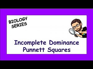 Incomplete Dominance Punnett Squares