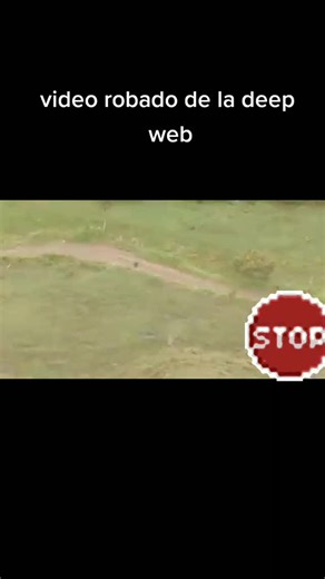 Videos Paranormales y Terroríficos de la Deep Web: Misterios y Criaturas Siniestras