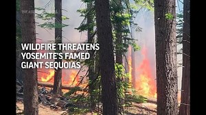Wildfire threatens Yosemite's famed giant sequoias