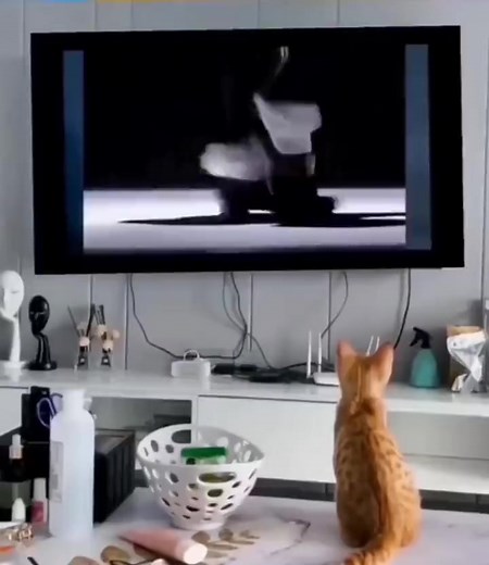 4.5K views · 103 reactions | Piano Sheet Music on Reels | Facebook