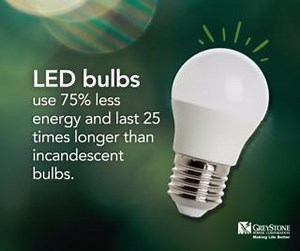 When it comes to bright ideas, LED bulbs are a no-brainer! They last longer and use far less energy than other bulbs. Make the switch to LEDs and start saving. #energyefficiency #LEDLightDay | GreyStone Power | Facebook