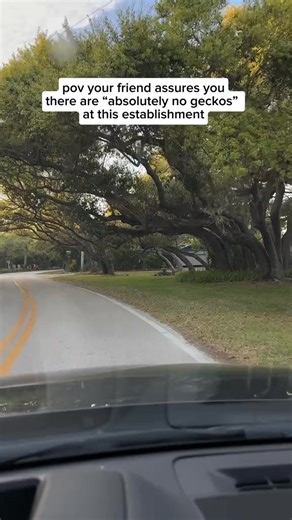 Airplane engine failures No problem 💪 Geckos GET ME OUTTA HERE! 🥲 #airlinepilot #pilotlife #florida | Almostcaptainmorgan