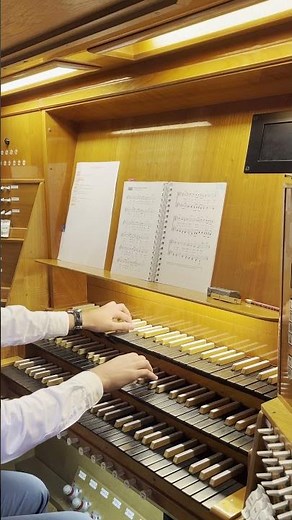NL 202 - Verleih uns Frieden gnädiglich #organ